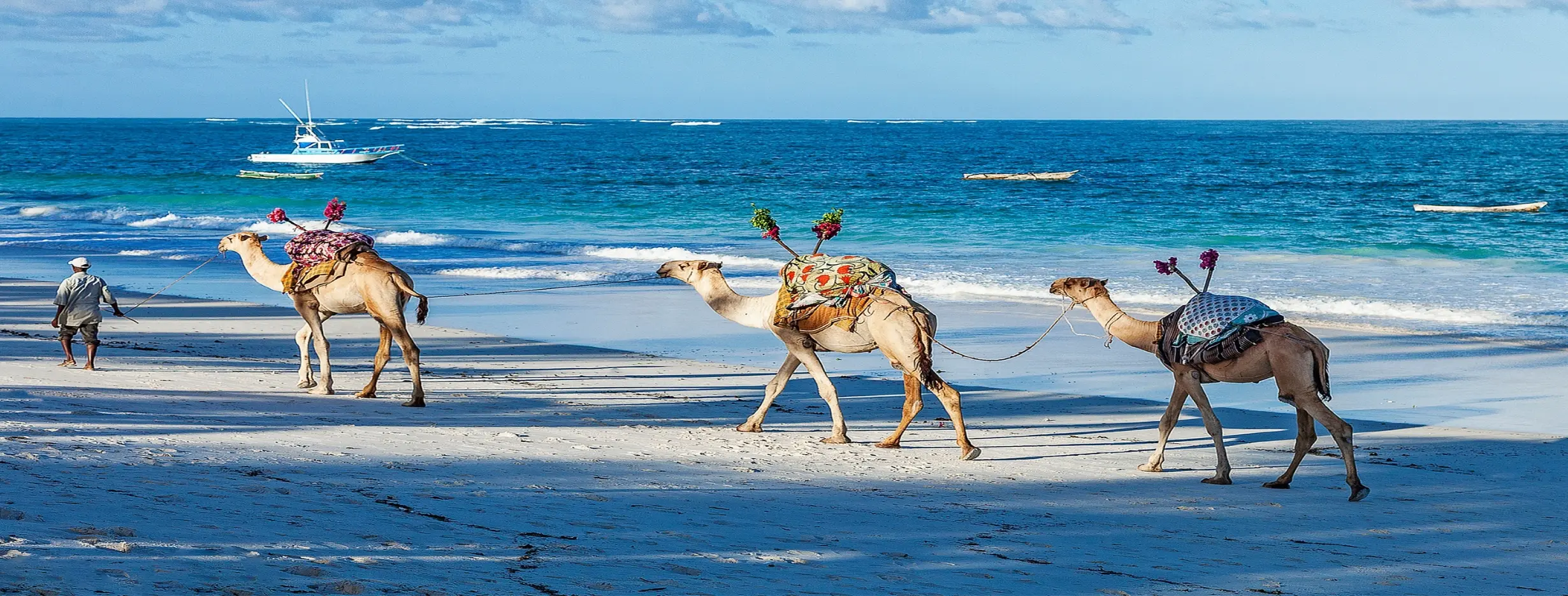 Image for Beach Safari